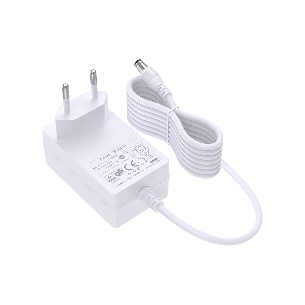 18W 24V 0.65A SAA Plug Wall Moutned Power Adapter
